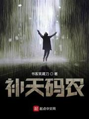 補天碼農 補天碼農