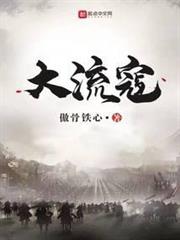 大流寇 大流寇