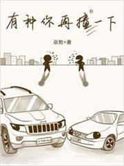 有種你再撞一下 有種你再撞一下