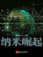 納米崛起 納米崛起