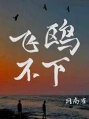 飛鷗不下 飛鷗不下