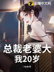 總裁老婆大我20歲
