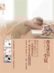 微光迷失的塵夏 微光迷失的塵夏