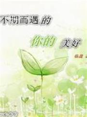 不期而遇的你的美好 不期而遇的你的美好