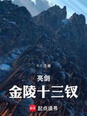 亮劍金陵十三釵 亮劍金陵十三釵