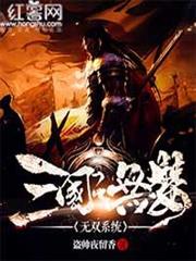 三國之無雙系統 三國之無雙系統