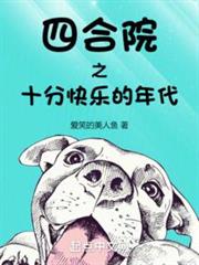 四合院之十分快樂的年代 四合院之十分快樂的年代