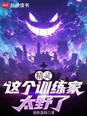 精靈：這個訓練家太野了