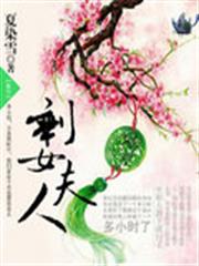 剩女夫人 剩女夫人