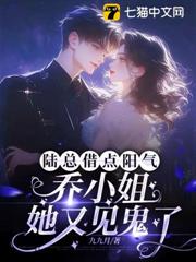 陸總借點陽氣,喬小姐她又見鬼了 陸總借點陽氣,喬小姐她又見鬼了