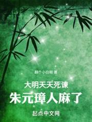 大明:朱元璋的模擬器 大明:朱元璋的模擬器