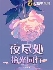 夜盡處拾光同行
