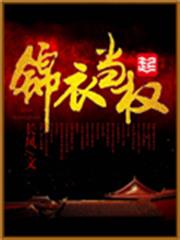 錦衣當權 錦衣當權