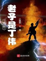 亮劍:老子是丁偉 亮劍:老子是丁偉