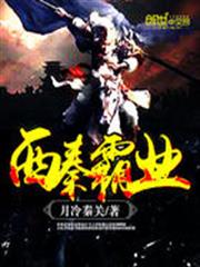 西秦霸業 西秦霸業