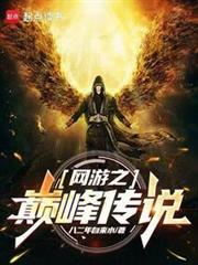 網遊之巔峰傳說 網遊之巔峰傳說