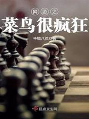 網遊之菜鳥很瘋狂 網遊之菜鳥很瘋狂