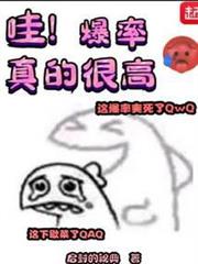 哇!爆率真的很高 哇!爆率真的很高