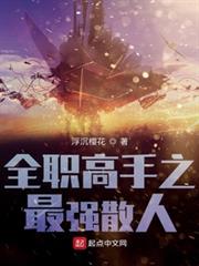 全職高手之最強散人 全職高手之最強散人