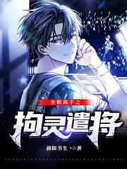全職高手之拘靈遣將 全職高手之拘靈遣將