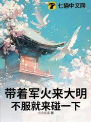 帶著軍火來大明,不服就來碰一下 帶著軍火來大明,不服就來碰一下