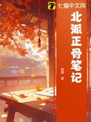 北派正骨筆記