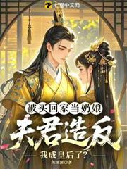 被買回家當奶娘,夫君造反我成皇后了? 被買回家當奶娘,夫君造反我成皇后了?