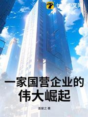 一家國營企業的偉大崛起 一家國營企業的偉大崛起