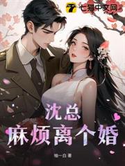 沈總，麻煩離個婚