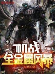機戰:全金屬風暴 機戰:全金屬風暴