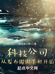 科技公司:從發布鯤鵬手機開始 科技公司:從發布鯤鵬手機開始
