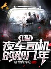我當夜車司機的那幾年 我當夜車司機的那幾年