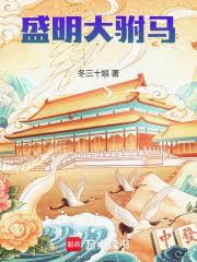盛明大駙馬 盛明大駙馬