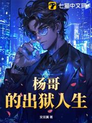 楊哥的出獄人生 楊哥的出獄人生