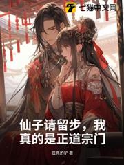 仙子請留步，我真的是正道宗門