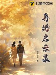 再婚啟示錄 再婚啟示錄