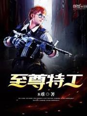至尊特工 至尊特工