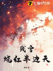 殘雪燒紅半邊天 殘雪燒紅半邊天