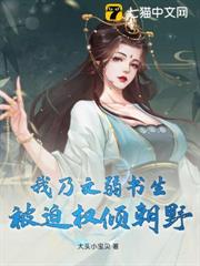 我乃文弱書生，被迫權傾朝野
