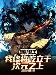 暗影君王：我終將屹立於次元之上
