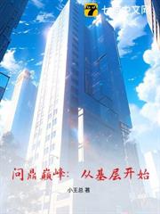 問鼎巔峰:從基層開始 問鼎巔峰:從基層開始