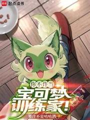 你不許當寶可夢訓練家! 你不許當寶可夢訓練家!