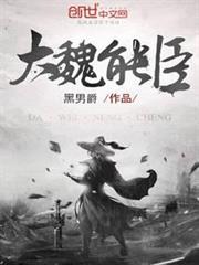 大魏能臣 大魏能臣