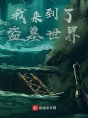 我來到了盜墓世界 我來到了盜墓世界