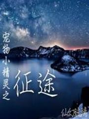 寵物小精靈之徵途 寵物小精靈之徵途