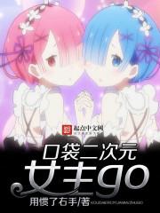口袋二次元女主go 口袋二次元女主go