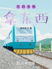 在四合院拿東西 在四合院拿東西