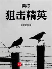 美綜:狙擊精英 美綜:狙擊精英