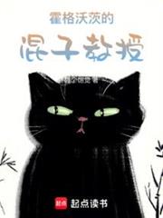 霍格沃茨的混子教授 霍格沃茨的混子教授