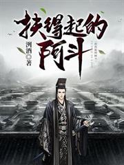 扶得起的阿斗 扶得起的阿斗